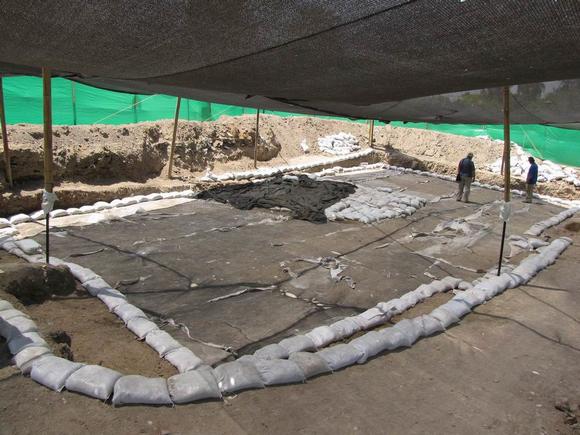 Image: Uncovering of the mosaic