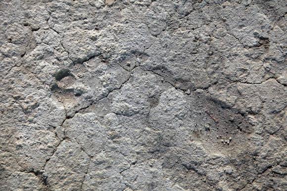Image: Footprint on the rudus mortar