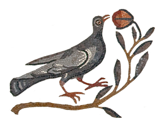 bird detail